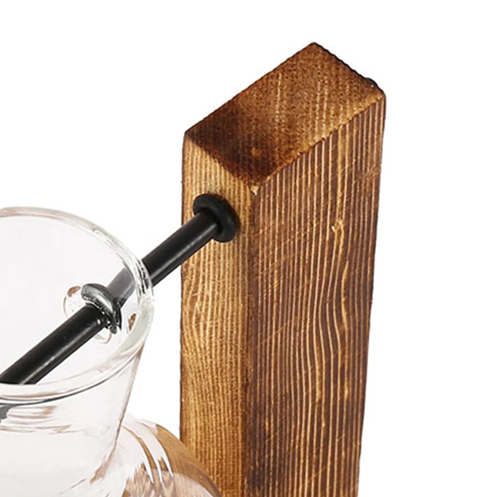 Hydroponic Bulb Vase with Stand