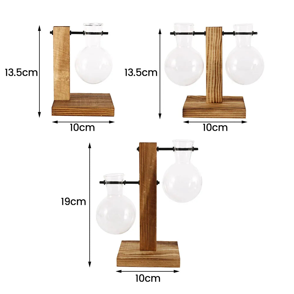 Hydroponic Bulb Vase with Stand
