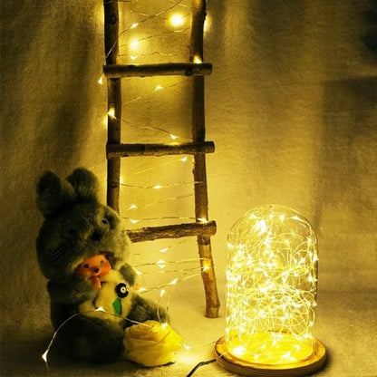 LED Fairy String Lights Battery