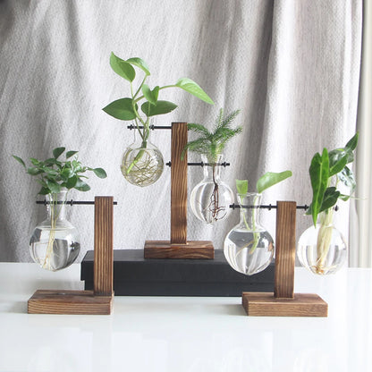 Hydroponic Bulb Vase with Stand