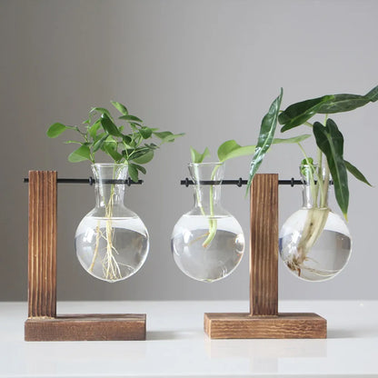 Hydroponic Bulb Vase with Stand