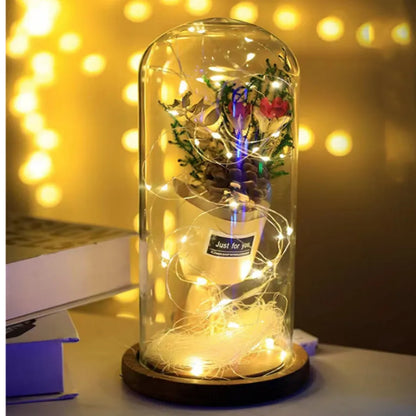 Usb Battery Copper Wire Garland Lamp