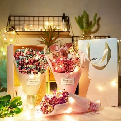 LED Fairy String Lights Battery