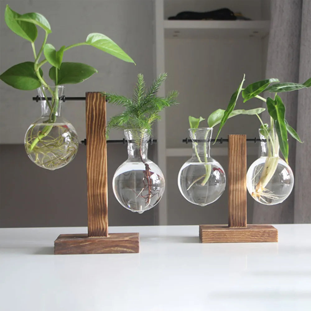 Hydroponic Bulb Vase with Stand